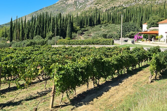 Konavle Gastro & Culture Tour (Private Tour) - Ljuta connects old mills with sweet tastes