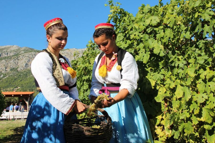 Konavle Valley: Private Half-Day Tour with Wine Tasting - Sokol Tower and Konavle’s defensive past