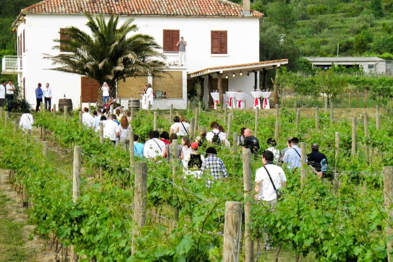 Konavle Valley: Tour with Wine Tasting from Dubrovnik - Why Konavle Valley makes a good break from Dubrovnik