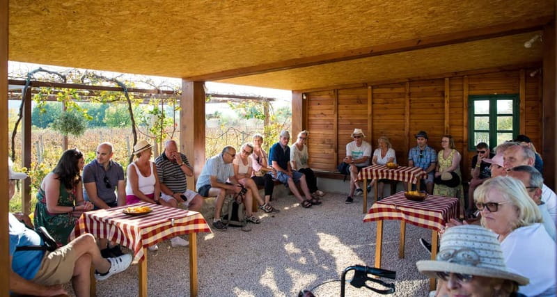 Konavle Valley: Tour with Wine Tasting from Dubrovnik - How much value do you get for $104?