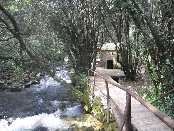 Konavle Valley Wine Tour from Dubrovnik with Train Ride and Wine Tasting - Pišta family estate and the rustic snack