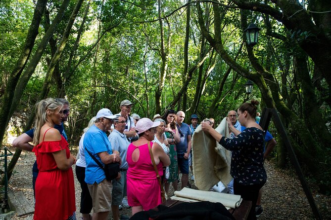 Konavle Valley Wine Tour from Dubrovnik with Train Ride and Wine Tasting - Timing, language, and group comfort