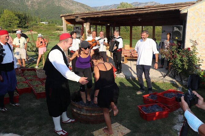 Konavle wine tasting tour from Dubrovnik with 2 vinery's - Winery Vodopić in Konavle