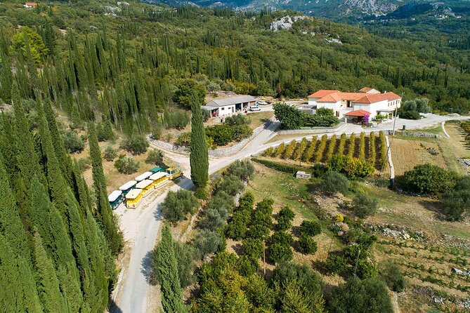 Konavle wine tasting tour from Dubrovnik with 2 vinery's - Is $225.31 a fair price?