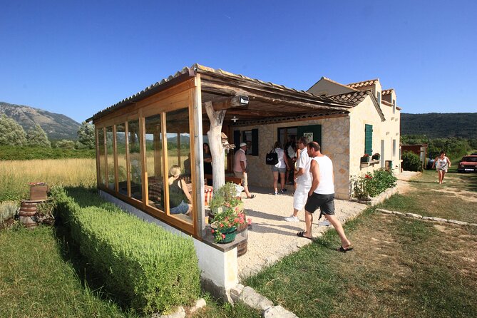 Konavle wine tasting tour from Dubrovnik with 2 vinery's - Practical tips before you book