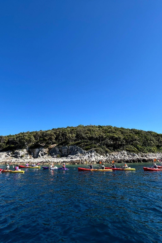 Korcula Archipelago Kayak Tour - Key points to know before you book