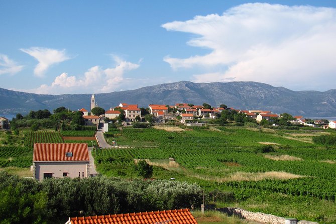 Korcula Bike & Wine Tour | Wine Tasting in Lumbarda - Tasting Grk and Pošip at two family wineries