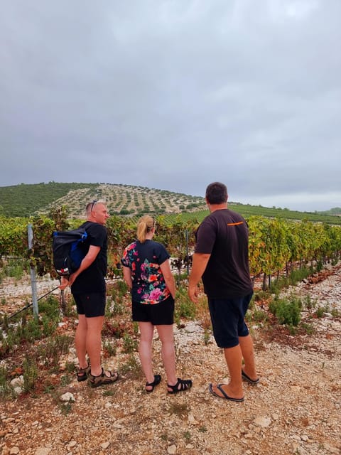 Korcula: Buggy Safari with Local Food and Wine Tasting - The hunting room and the personal touches