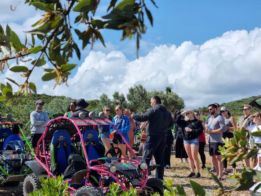 Korcula: Buggy Safari with Local Food and Wine Tasting - Comfort, safety, and who should book
