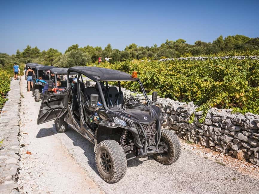 Korcula Buggy Safari With Wine Tasting - What this Korcula buggy safari is really like