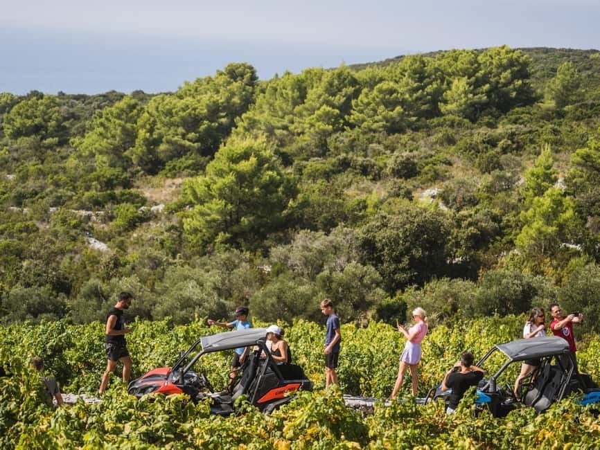 Korcula Buggy Safari With Wine Tasting - The short stop at La’Banya