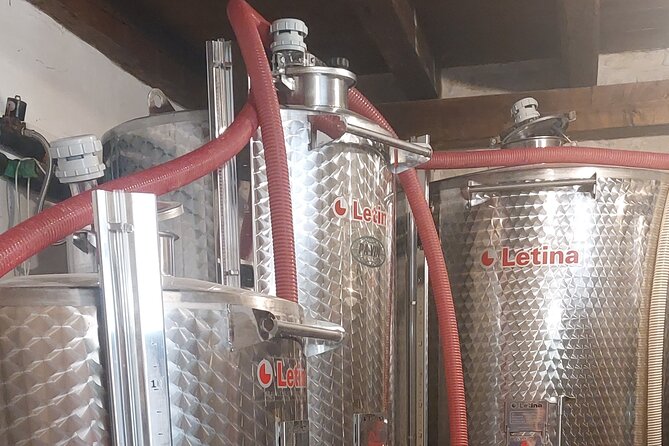 Korčula for Wine Lovers - Pošip and Grk Wines Private Tour - What the private format is worth