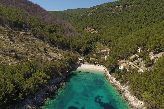 Korcula Island Mountain E Bike Private tour with lunch - A local winery, tasting, and cooked lunch