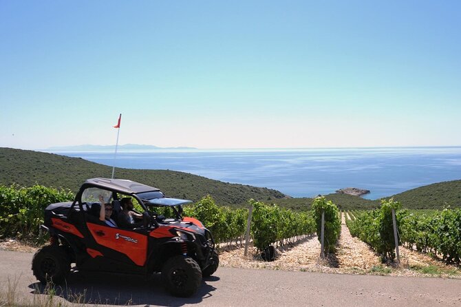 Korcula Island Private Buggy Beach Hunting Safari with lunch - Key things to know before booking