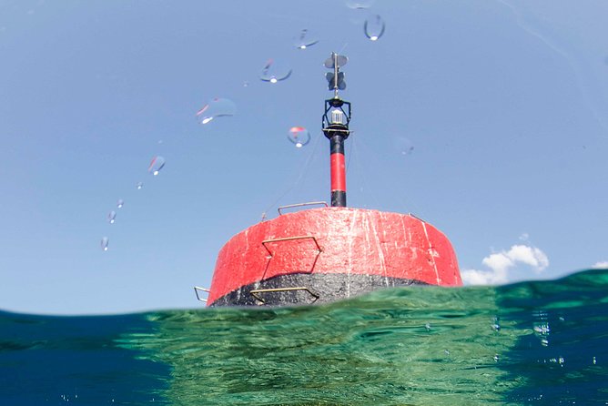 Korcula Island Snorkeling Adventure , ship wreck and lunch - The Small Island Stop