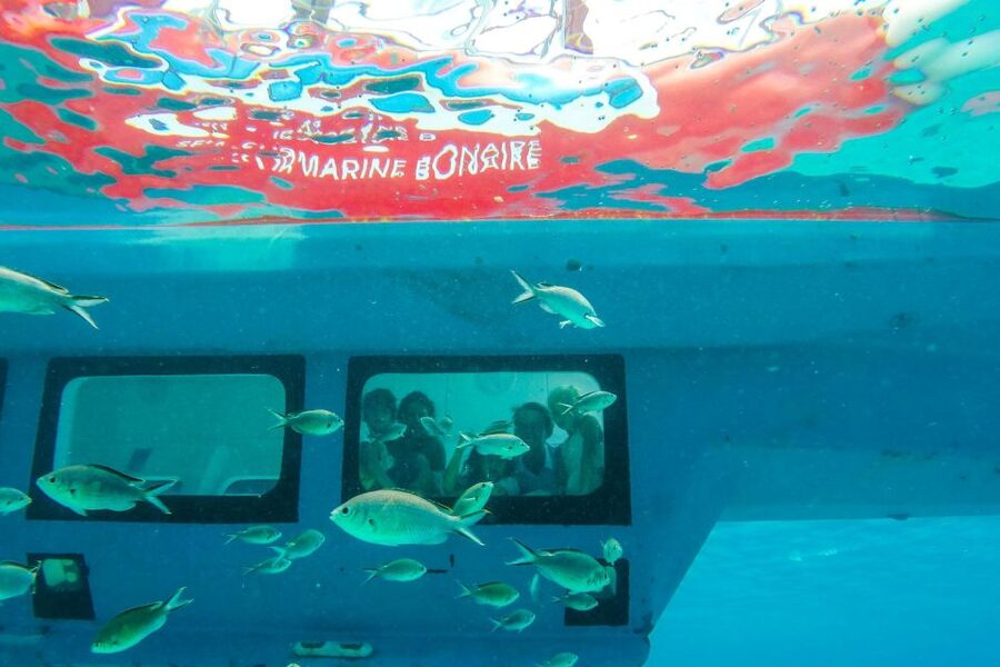 Korcula: Semi-Submarine Tour - What the $23 Price Buys You