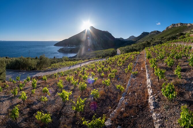Korčula & Ston: Island Charms, Pelješac Delights & Wine Tasting - Mali Ston oysters: a worthwhile optional extra