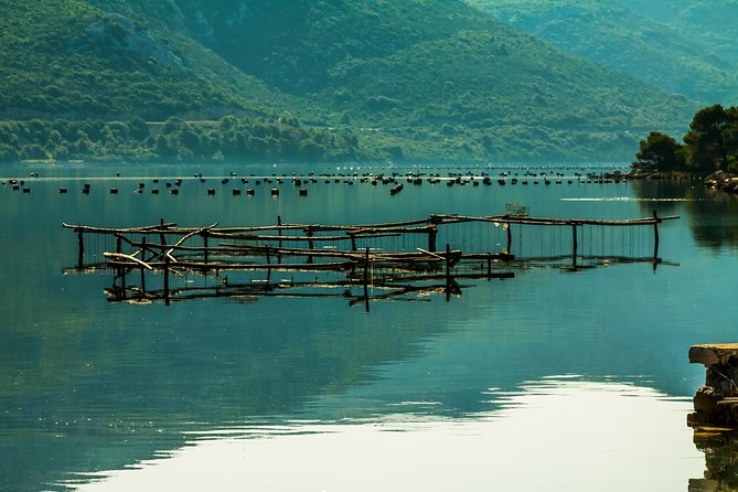 Korcula, Ston, Wine Tasting and Lunch - Tour from Dubrovnik - Wine tasting at Matuško cellar