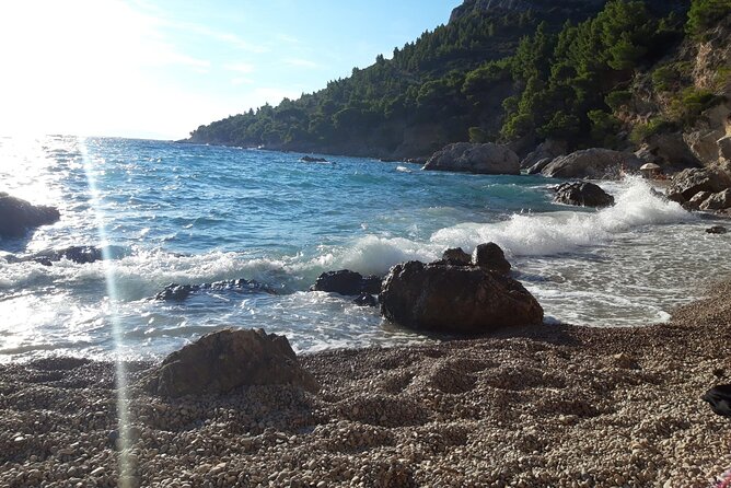 Korcula, Ston, Wine Tasting and Lunch - Tour from Dubrovnik - The guide and the private vehicle