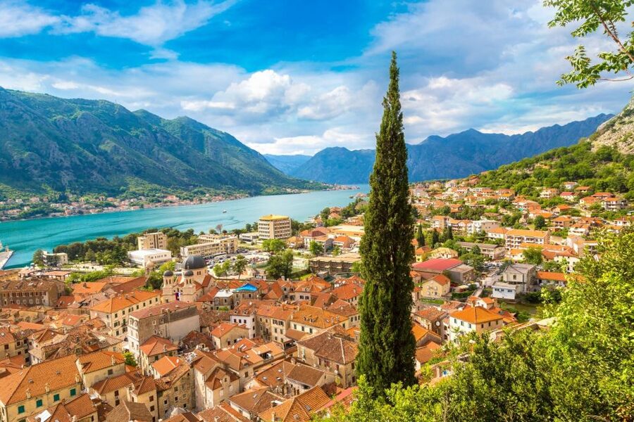 Kotor & Perast: Guided Day Trip From Dubrovnik - Who Will Get the Most From This Tour