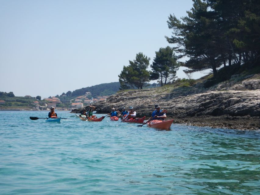 Lumbarda: Half-Day Kayaking and History with Wine delight - What the $81 price includes