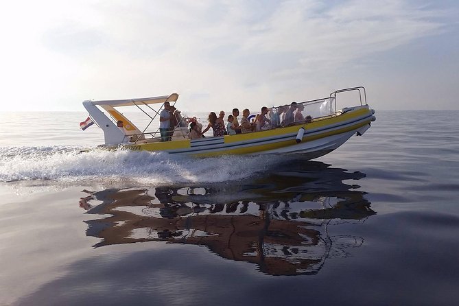 Mljet Island tour from Dubrovnik - Bus, ferry, and boat: know what the day really involves