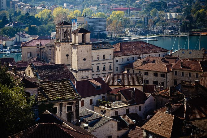 Montenegro Full-Day Trip from Dubrovnik with Optional Boat Trip - Border crossings can reshape the whole day