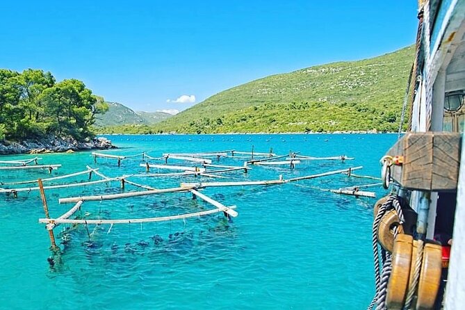 Oyster farm experience / Private day trip from Dubrovnik - Why Mali Ston makes the day worthwhile