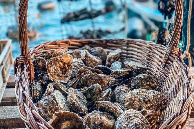 Oyster farm experience / Private day trip from Dubrovnik - What the guide adds to the outing