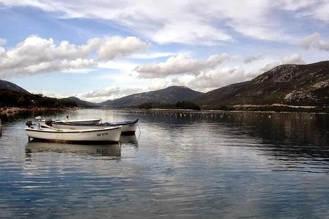 Oysters and mussels tasting with wine in Ston and Pelješac - Key points to know before booking