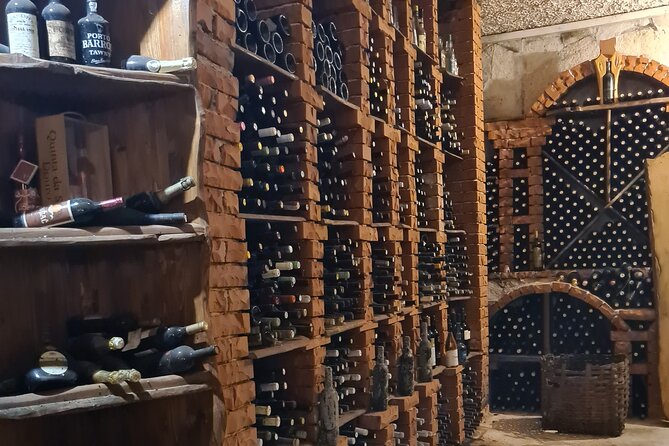 Oysters & Wine Tour From Dubrovnik (Small Group) - My verdict: book for oysters, wine, and local contact