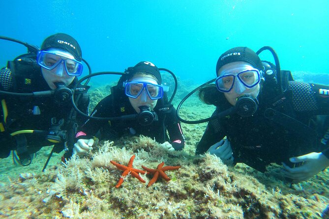 PADI Discover Scuba Diving in Dubrovnik - Starting at Blue Planet at 9:30 a.m.