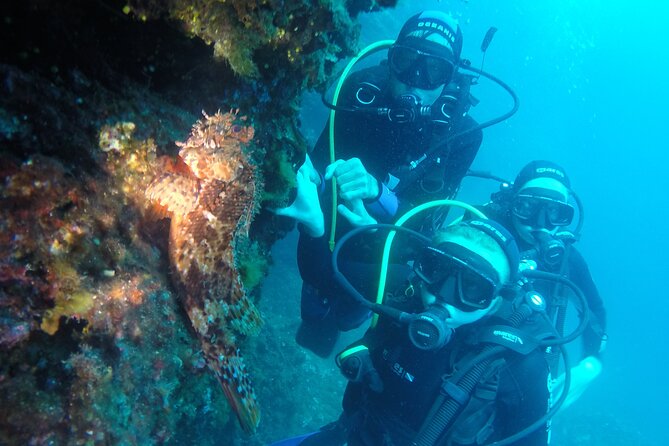 PADI Discover Scuba Diving in Dubrovnik - The surface interval and why it takes time