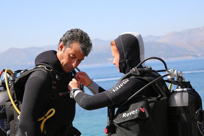 PADI Discover Scuba Diving in Dubrovnik - What you may see beneath Dubrovnik