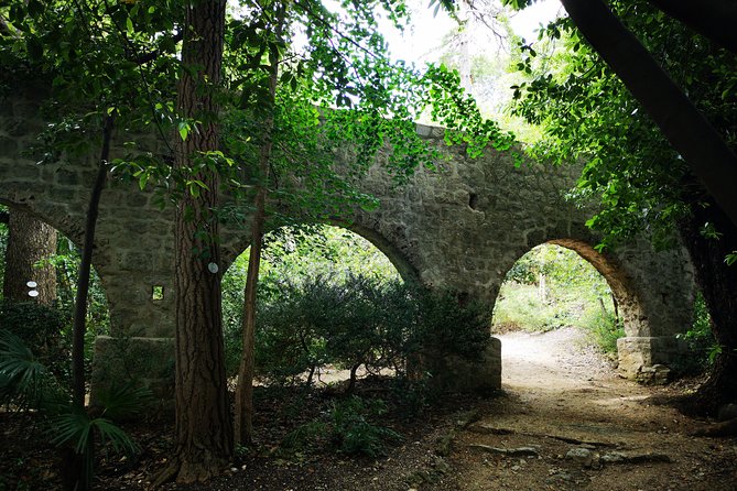 Panorama Dubrovnik & Arboretum Trsteno PRIVATE TOUR - Trsteno Arboretum, gardens with a past