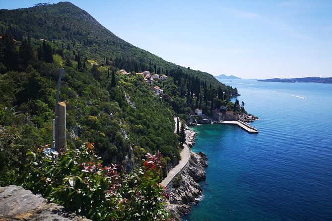 Panorama Dubrovnik & Arboretum Trsteno PRIVATE TOUR - Timing, transport, and the guide experience