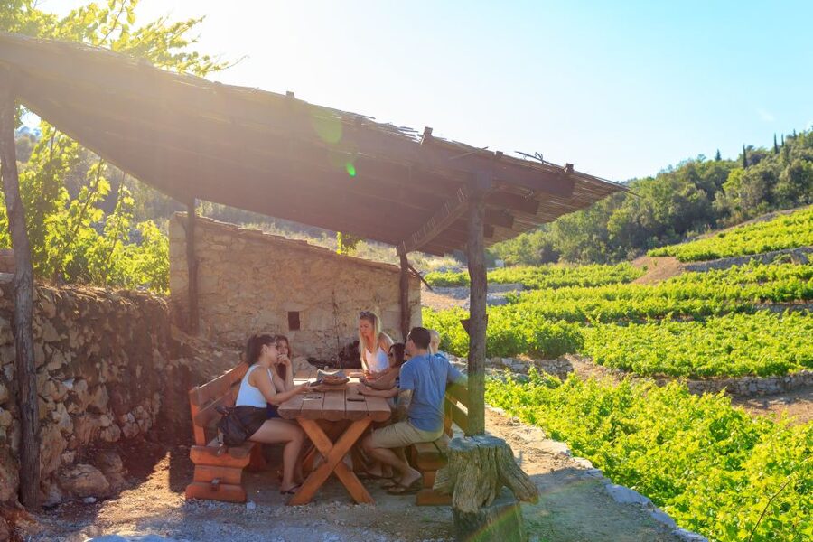 Pelješac Full-Day Wine and Food Tour from Dubrovnik - Ston walls and salt works in a short historical stop