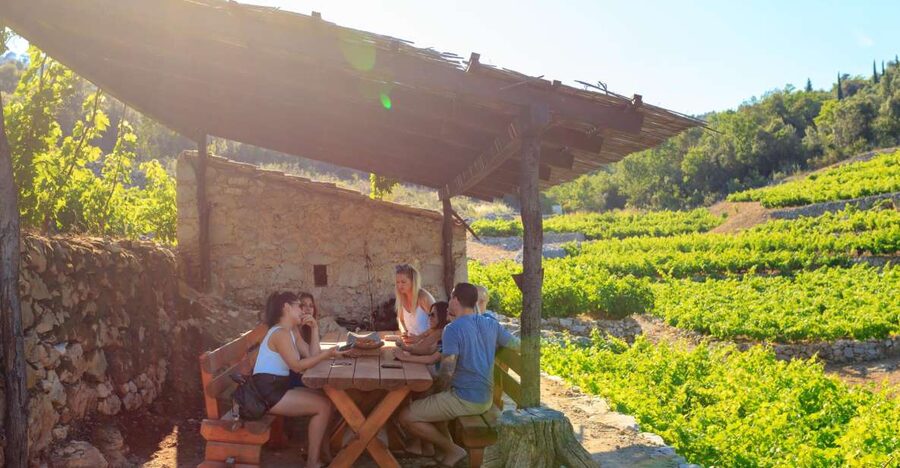 Pelješac Full-Day Wine and Food Tour from Dubrovnik - Mali Ston oysters: the day’s most unusual first course