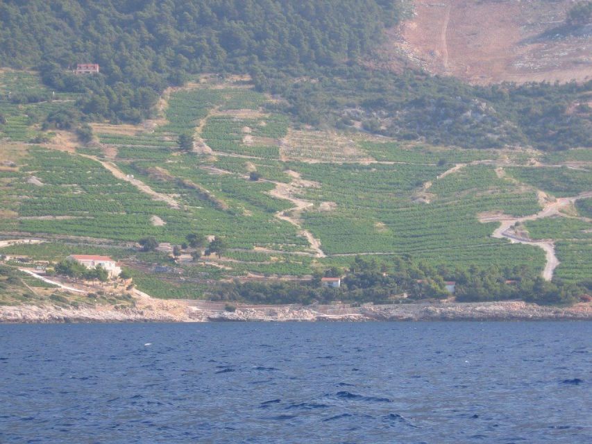 Peljesac Peninsula & Korcula Island Day-Trip from Dubrovnik - How the 11-hour schedule feels