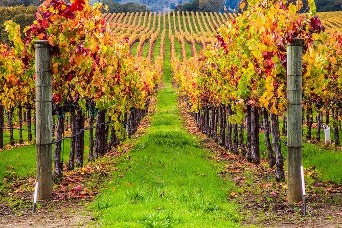 Peljesac Peninsula Wine Tasting Luxury Tour from Dubrovnik - Croatian wine in its home region
