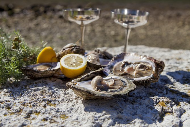 Peljesac Peninsula Wine Tasting Luxury Tour from Dubrovnik - Who will get the most from this tour
