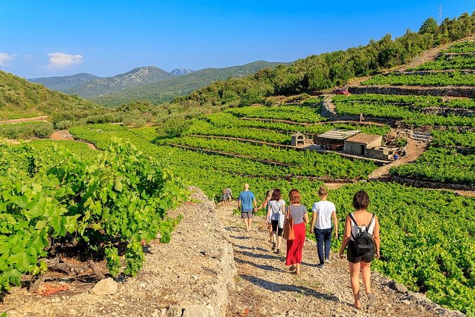 Peljesac&Ston Small-Group Food & Wine Experience from Dubrovnik - Key things to know before booking