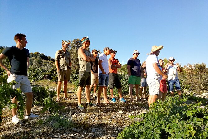 Peljesac&Ston Small-Group Food & Wine Experience from Dubrovnik - The three-course lunch in a rustic konoba
