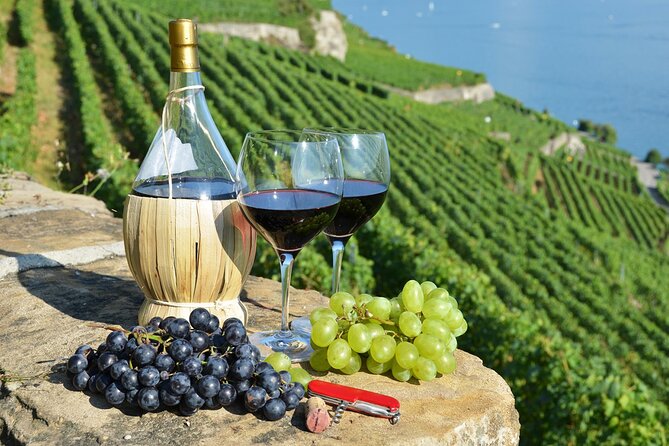 Peljesac Vineyards & Oysters - Private Day Trip from Dubrovnik-Mercedes Vehicle - Key points before you book