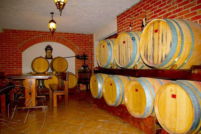 Peljesac Vineyards & Oysters - Private Day Trip from Dubrovnik-Mercedes Vehicle - From Dubrovnik to the Peljesac Peninsula