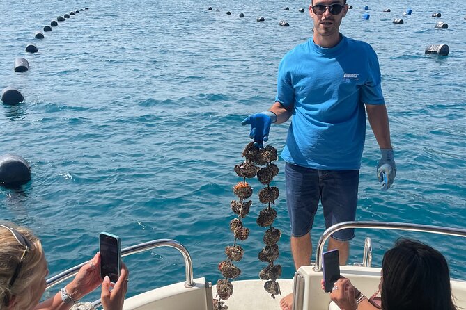 Pelješac - Wine, Oysters and Food Experience from Dubrovnik - Hodilje oysters and Buzara mussels