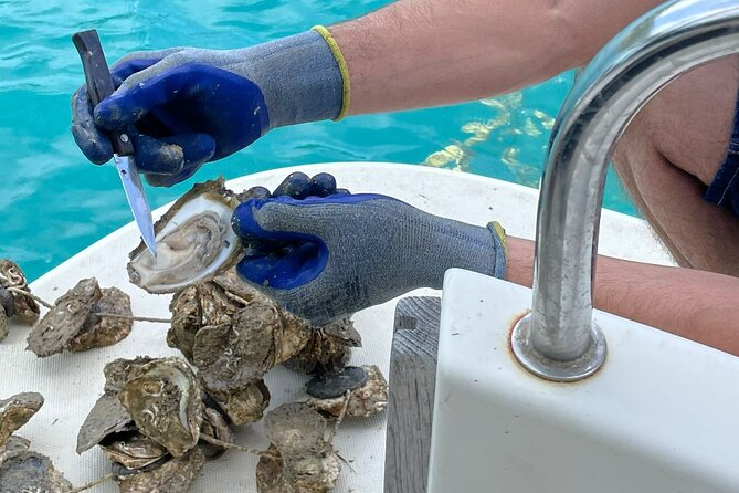 Peljesac Wine & Ston Oysters PRIVATE HALF DAY SHORE TOUR - Lunch in Ston is up to you