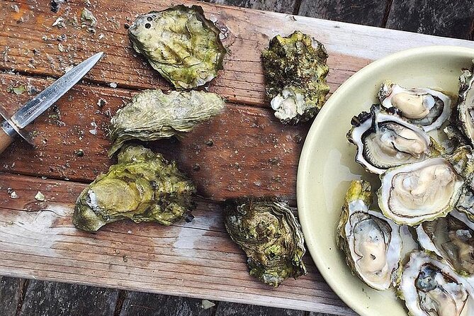Peljesac Wine & Ston Oysters PRIVATE HALF DAY SHORE TOUR - Ponikve and the story of Plavac Mali