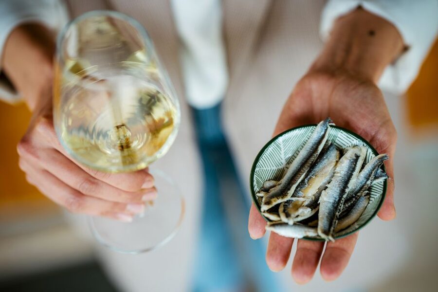 Pelješac wine tasting and local winery visit - A Short Ride From Ston to Broce