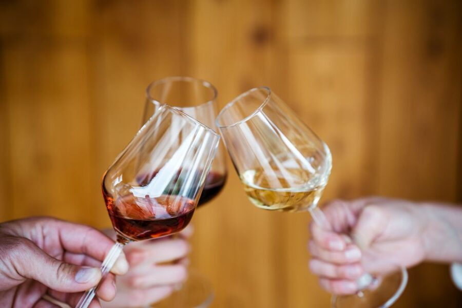 Pelješac wine tasting and local winery visit - Who Should Book This Winery Visit?